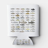 Karpfenfamilie Dosenkühler (Rückseite)