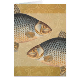 Karpfenfisch Fischmalerei Süßwasserzeichnung
