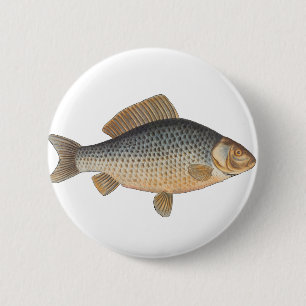 Karpfenfisch Fischmalerei Süßwasserzeichnung Button