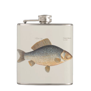 Karpfenfisch Fischmalerei Süßwasserzeichnung Flachmann