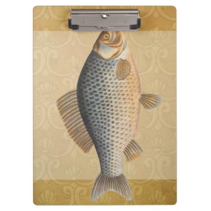 Karpfenfisch Fischmalerei Süßwasserzeichnung Klemmbrett