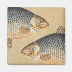 Karpfenfisch Fischmalerei Süßwasserzeichnung Magnet
