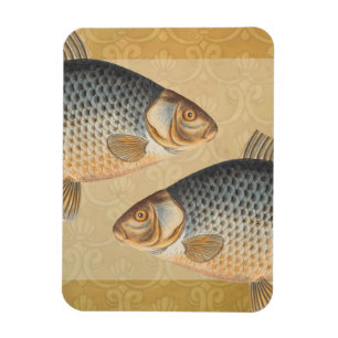 Karpfenfisch Fischmalerei Süßwasserzeichnung Magnet