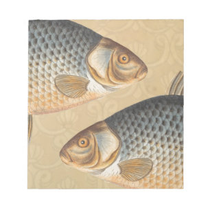 Karpfenfisch Fischmalerei Süßwasserzeichnung Notizblock