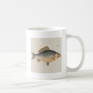 Karpfenfisch Malerei Süßwasser Zeichnung  Kaffeetasse