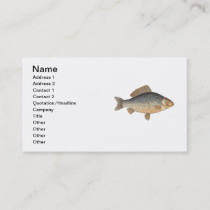Karpfenfisch Malerei Süßwasser Zeichnung  Visitenkarte