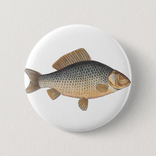 Karpfenfisch, Süßwasser anstrichen Button (Vorderseite)