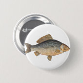 Karpfenfisch, Süßwasser anstrichen Button (Vorne & Hinten)