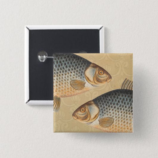 Karpfenfisch, Süßwasser anstrichen Button (Vorne & Hinten)