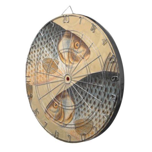 Karpfenfisch, Süßwasser anstrichen Dartscheibe (Vorderseite rechts)