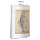 Karpfenfisch, Süßwasser anstrichen Flachmann (Rechts)