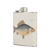 Karpfenfisch, Süßwasser anstrichen Flachmann (Links)