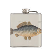 Karpfenfisch, Süßwasser anstrichen Flachmann (Rückseite)