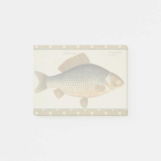 Karpfenfisch, Süßwasser anstrichen Post-it Klebezettel (Vorderseite)