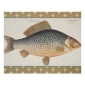Karpfenfisch, Süßwasser anstrichen Poster (Vorderseite)