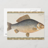 Karpfenfisch, Süßwasser anstrichen Postkarte (Vorne/Hinten)