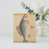 Karpfenfisch, Süßwasser anstrichen Postkarte (Stehend Vorderseite)