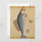 Karpfenfisch, Süßwasser anstrichen Postkarte (Vorne/Hinten)