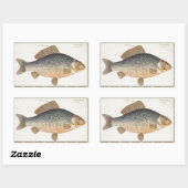 Karpfenfisch, Süßwasser anstrichen Rechteckiger Aufkleber (Blatt)