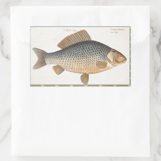 Karpfenfisch, Süßwasser anstrichen Rechteckiger Aufkleber (Tasche)