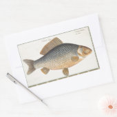 Karpfenfisch, Süßwasser anstrichen Rechteckiger Aufkleber (Umschlag)