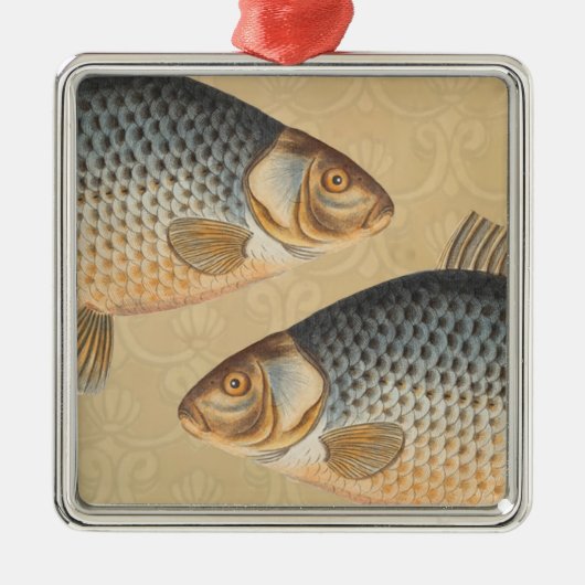 Karpfenfisch, Süßwasser anstrichen Silbernes Ornament (Vorne)