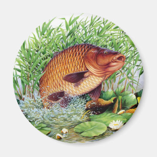 Karpfenfischerei Magnet