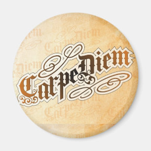 Karpfenmagnet Magnet