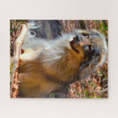 Karst Shepherd Dog. Puzzle (Horizontal)