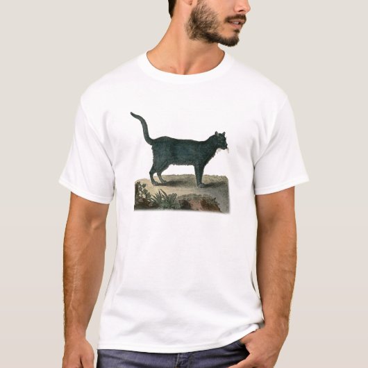 Kartäuserkatze T-Shirt (Vorderseite)