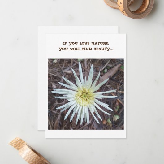 Karte (Vorderseite/Rückseite Beispiel)