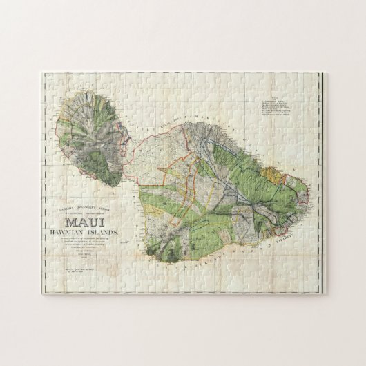 Karte 1885 De Witt Alexander von Maui, Hawaii Puzzle (Horizontal)