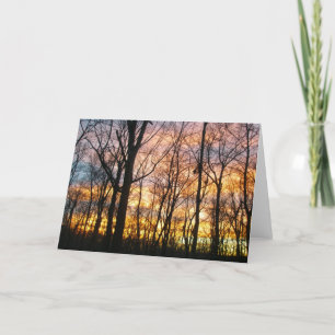 Karte 4 der Sunset-Serie