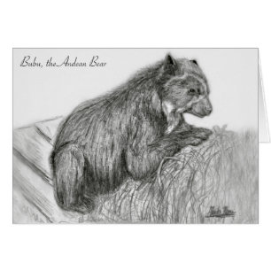 Karte A. Neuman Sketch