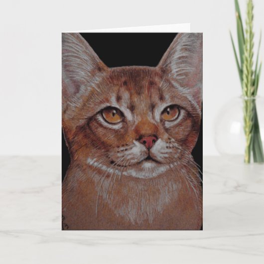 Karte - Abby Katze (Vorderseite)