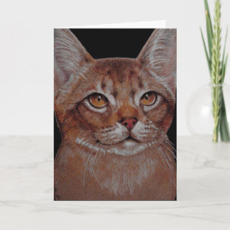Karte - Abby Katze