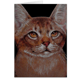 Karte - Abby Katze