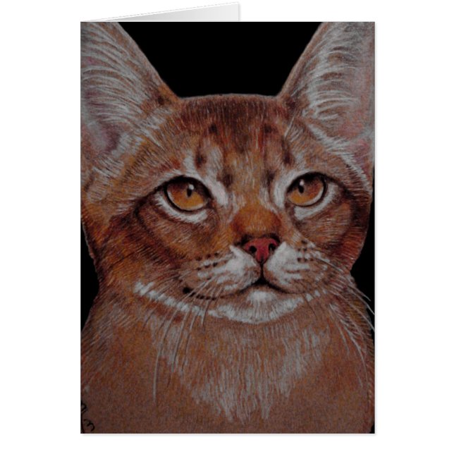 Karte - Abby Katze (Vorne)