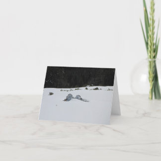 Karte - adirondack Stühle im Schneeantrieb