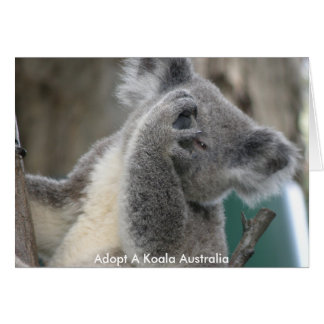 Karte Adoptiere eine Koala Australia Paw