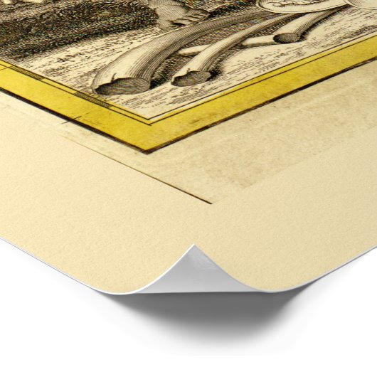 Karte Afrikas von John Senex (1725) Poster (Ecke)