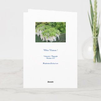 Karte /Beauty/Wisteria/Garten/Natur/Ruhe