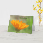Karte - Begrüßung - Orange Calendula (Gelbe Blume)