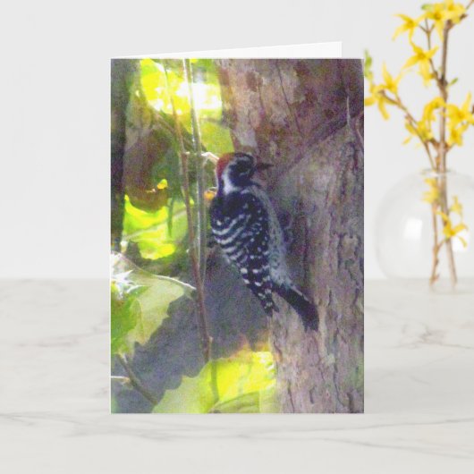 Karte - Begrüßung - Specker (Gelbe Blume)