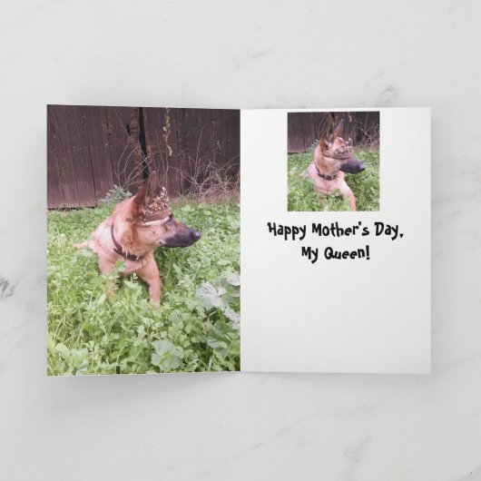 Karte Belgier Malinois Mutter Tages (Innenseite)