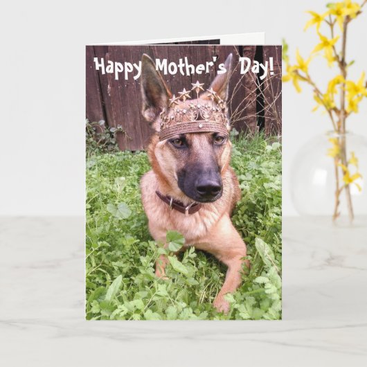 Karte Belgier Malinois Mutter Tages (Gelbe Blume)