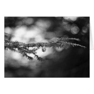 Karte BWs Pinecone