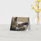 Karte (CN) - Nickerchen der Katze oder zwei (Gelbe Blume)