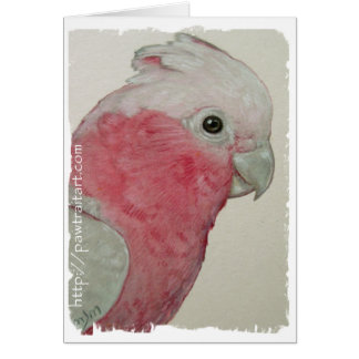 Karte - Cockatoo