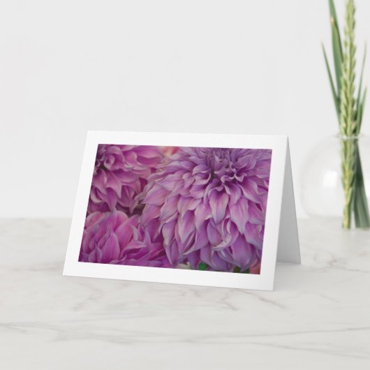 Karte, "Dahlia # 151" Karte (Vorderseite)